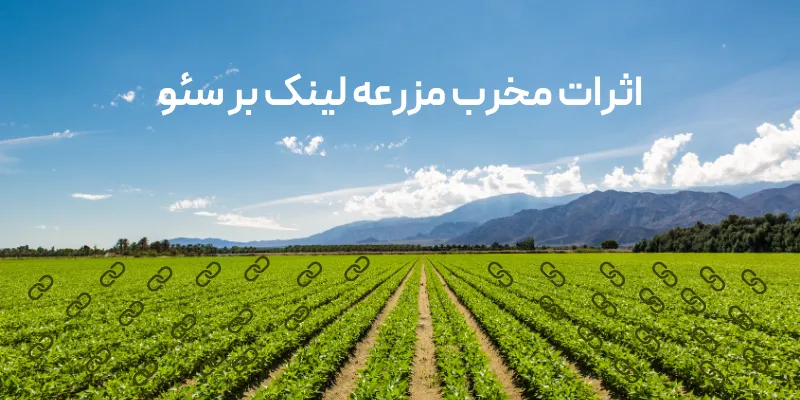 اثرات مخرب مزرعه لینک بر سئو